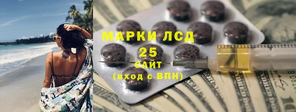 гидра Новозыбков