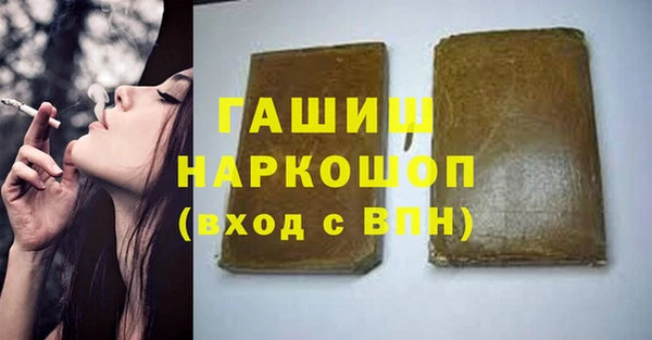гидра Новозыбков