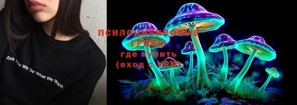 гидра Новозыбков