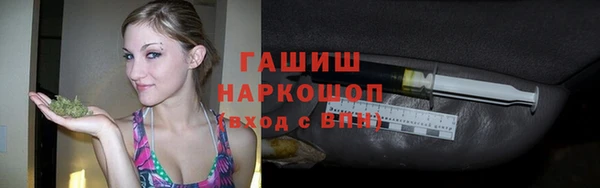 гидра Новозыбков
