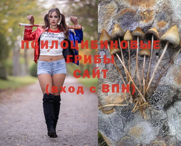 гашишное масло Новокубанск