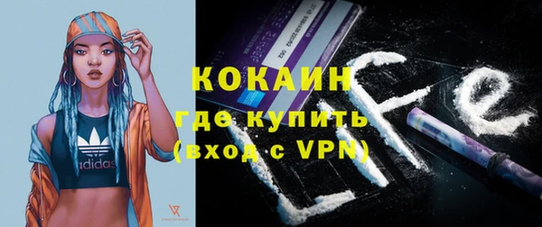гидра Новозыбков