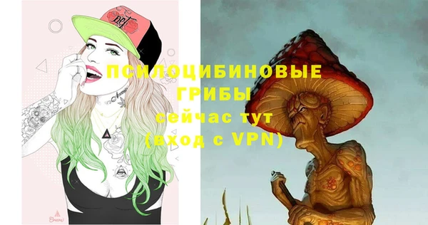 герыч Новодвинск