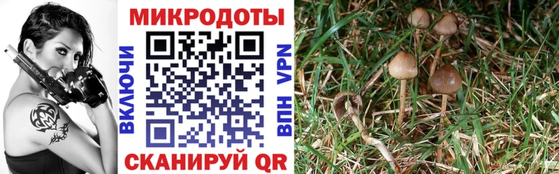 Галлюциногенные грибы мицелий  Купить  Уржум 
